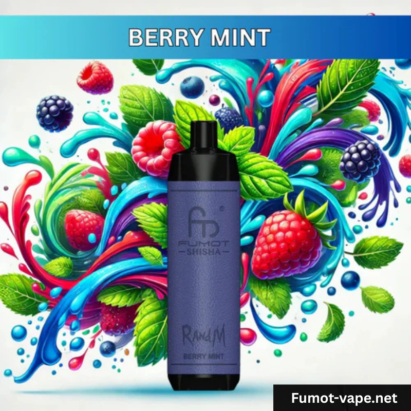 Shisha 10000 - Berry Mint